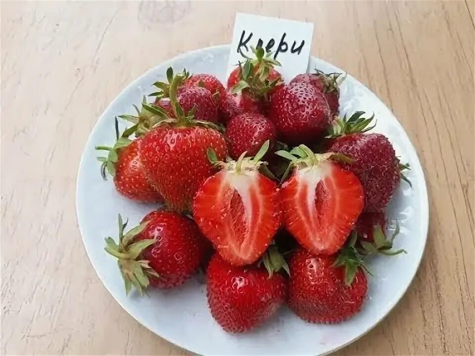 Земляника Клери: купить недорого в Новосибирске Сибирь Сад