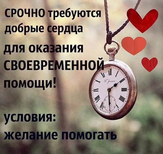 Мне нужна ваша помощь. Нужна помощь добрых людей. Прошу помощи. Доброе сердце. Прошу помощи добрым людям.