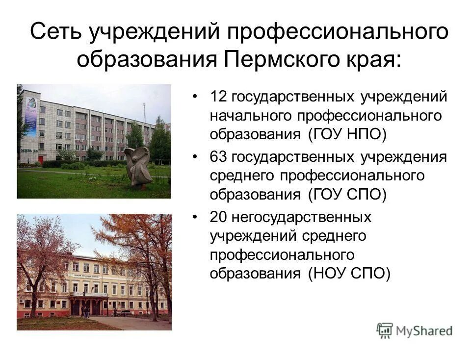 Краевые учреждения пермского края. Лицей 12 пермь. Ульяновское братство пограничников. Краевые учреждения пермского края. Схема территориального планирования пермского края.