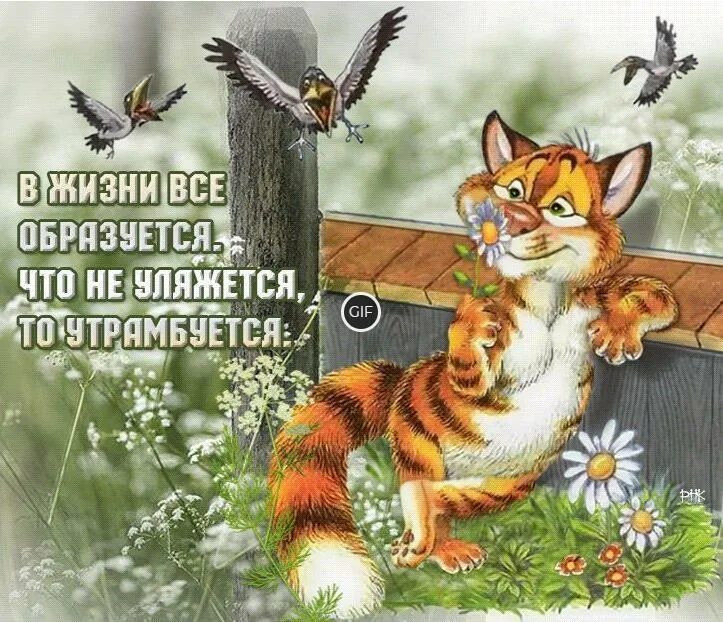 Анимация позитива