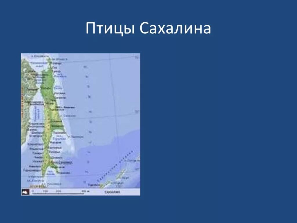 Выбери как называется остров сахалин. Сахалин на карте. остров сахалин на карте. картинка карта сахалина. географическая карта сахалина.