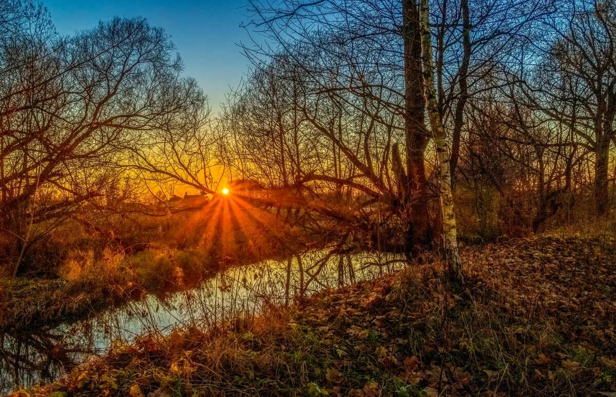 Холодный осенний вечер. Последним вечером ноября. Последний вечер осени. Ноябрь в городе вечер. Вечерняя природа.