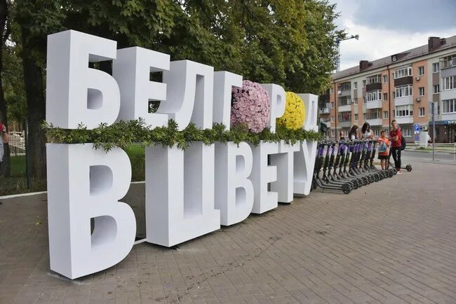 Фестиваль тюльпанов в белгороде 2022. Белгород фестиваль цветов 2023. Город цветов белгород. Белгород праздник цветов. Белгород в цвету белгород.