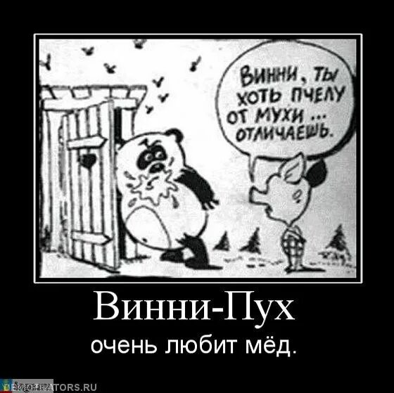 Анекдоты про винни пуха. Винни пух юмор. черный юмор про винни пуха. шутки про винни пуха.