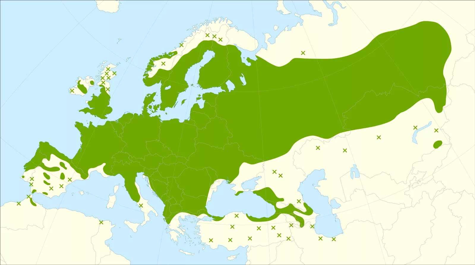 Ареал распространения бурых водорослей. Ареал произрастания грецкого ореха на карте. Сумах дерево ареал обитания. Ель обыкновенная ареал. Природные ареалы.