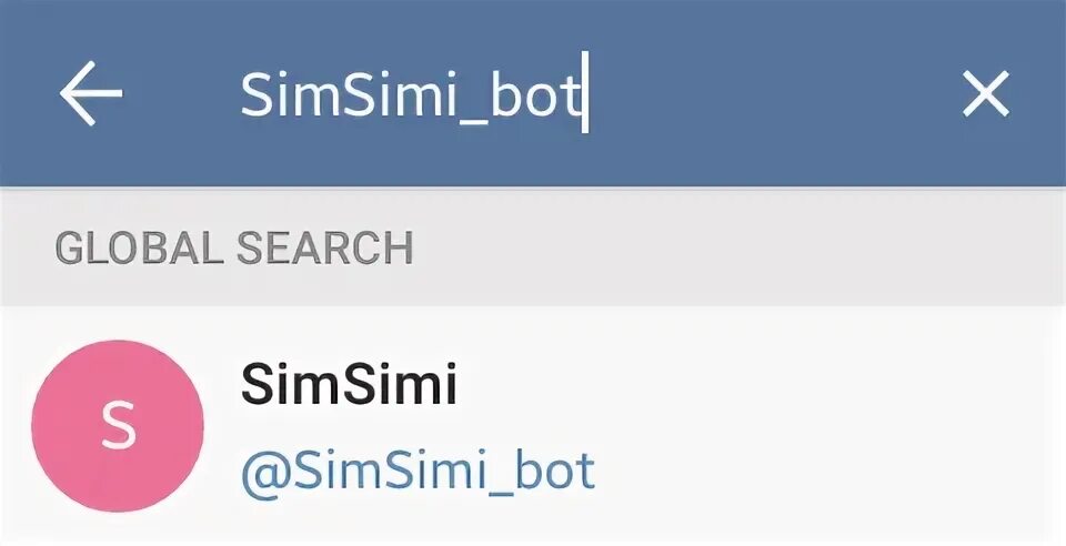 Sim bot