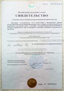 Срок регистрации юридического лица в егрюл