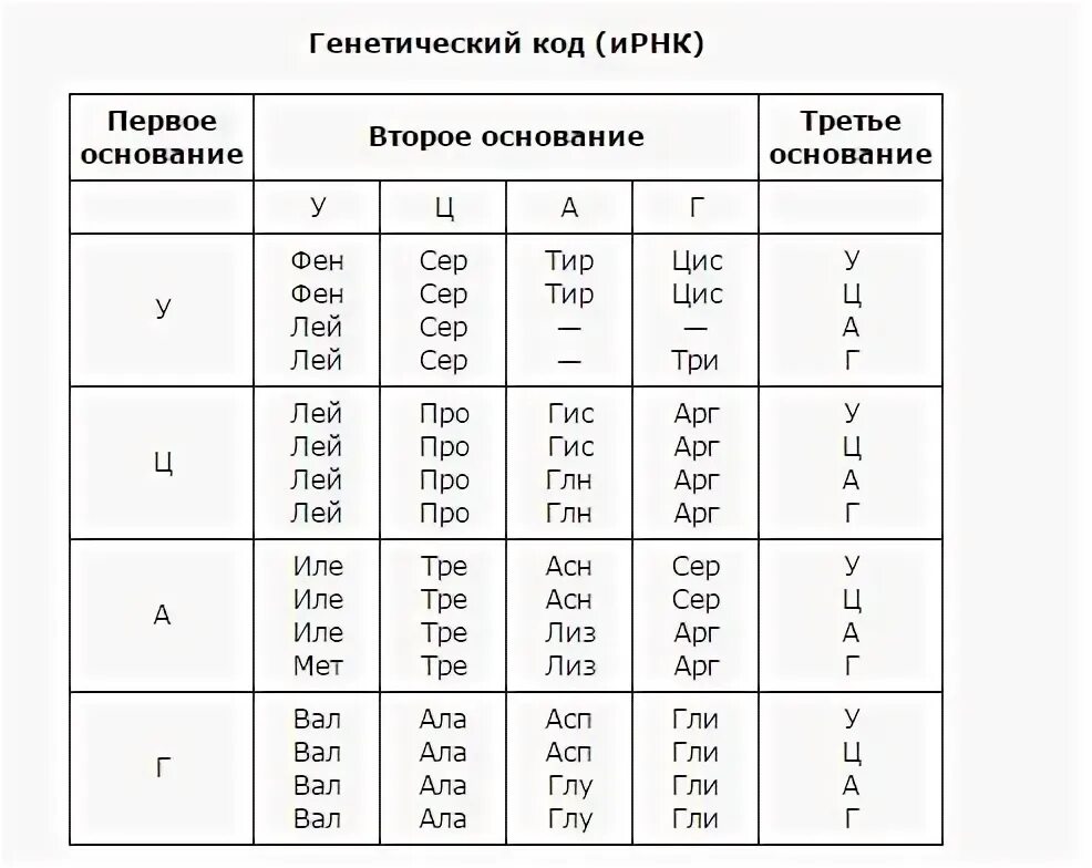 Таблица аминокислот ИРНК. Таблица нуклеотидов и аминокислот. Таблица кодов ДНК И РНК. Таблица генетического кода МРНК.