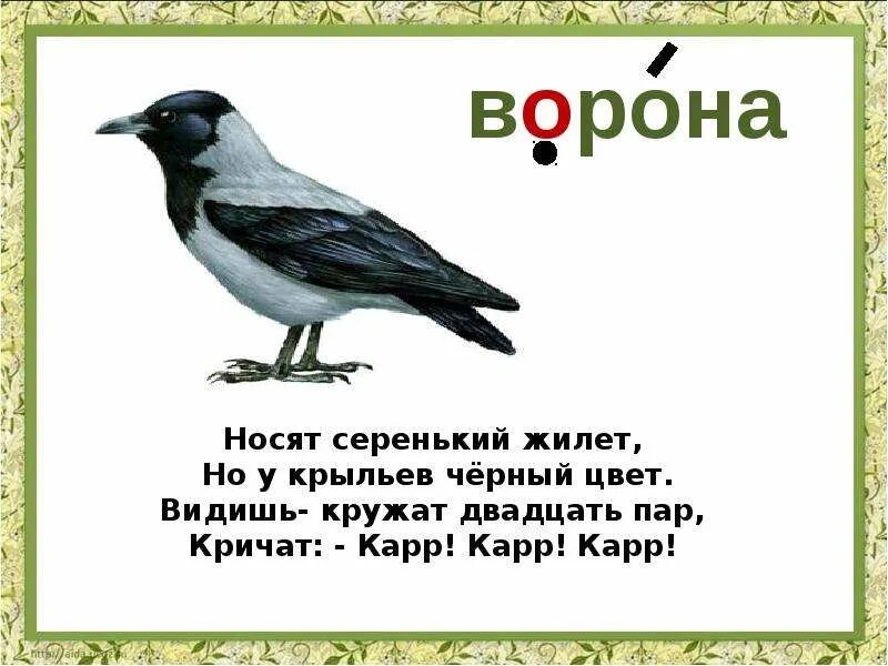 Вороны 3 русская язык. Загадка про ворона. Загадка про ворону. Загадка про ворону 1 класс. Стих про ворону.