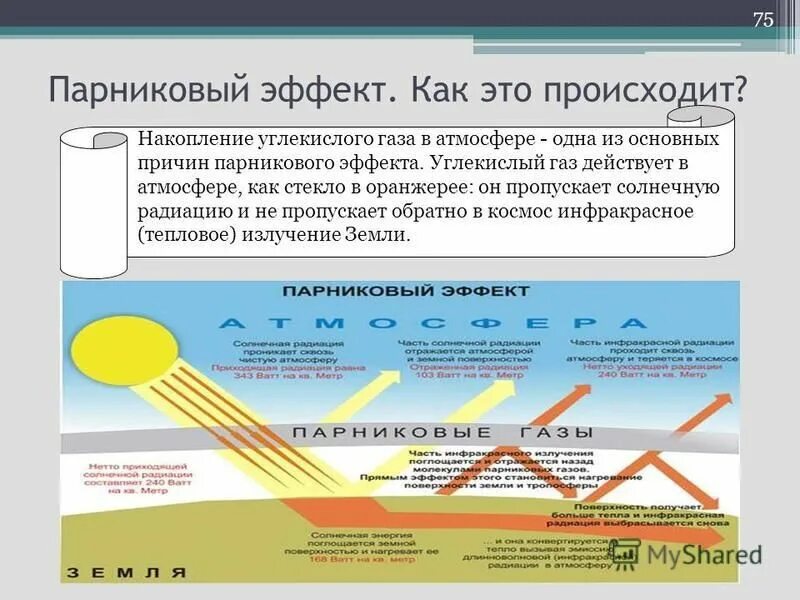 Парниковый эффект и его причины. Парниковый эффект и его причины
