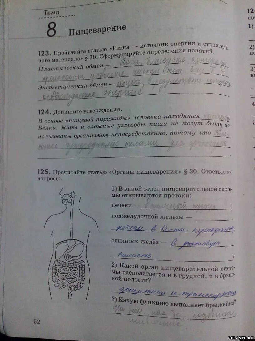 Биология 8 класс пасечник тесты по параграфам. Биология 8 класс пасечник тесты по параграфам. Биология 8 класса рабочая тетрадь пасечник тесты. Биология 5 класс тесты с ответами. Биология 8 класс пасечник тесты по параграфам.