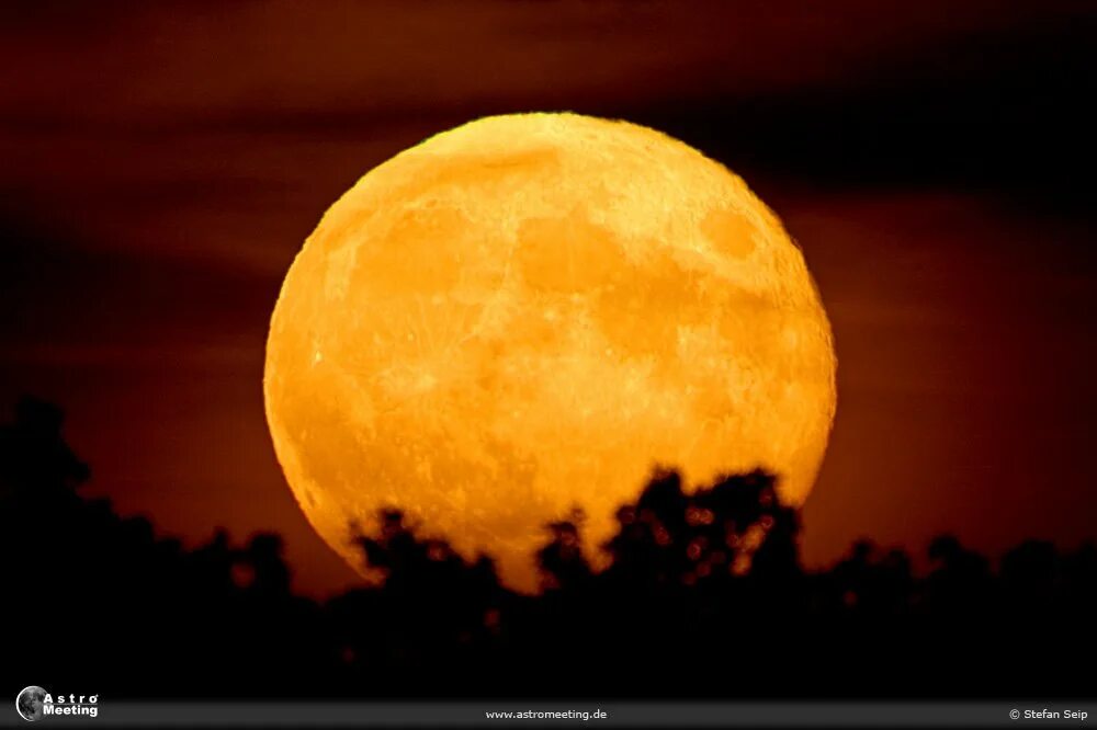Луна. Желтая Луна. Огромная Луна. Огромная оранжевая Луна.