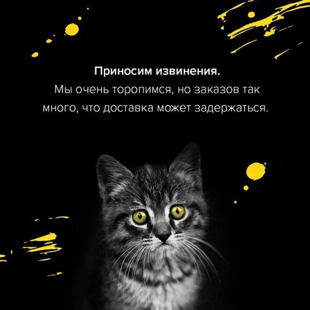 Извините за доставленные. Приносим извинения. Приносим свои извинения за неудобства. Приносим свои извинения картинка. Приношу извинения открытка.