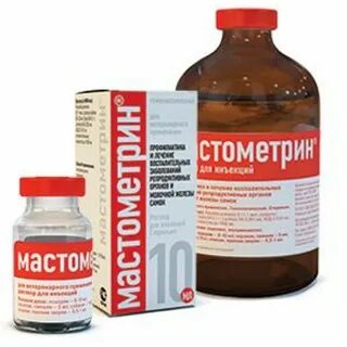 Масто