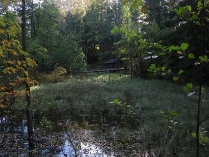 Сертоловское городское поселение