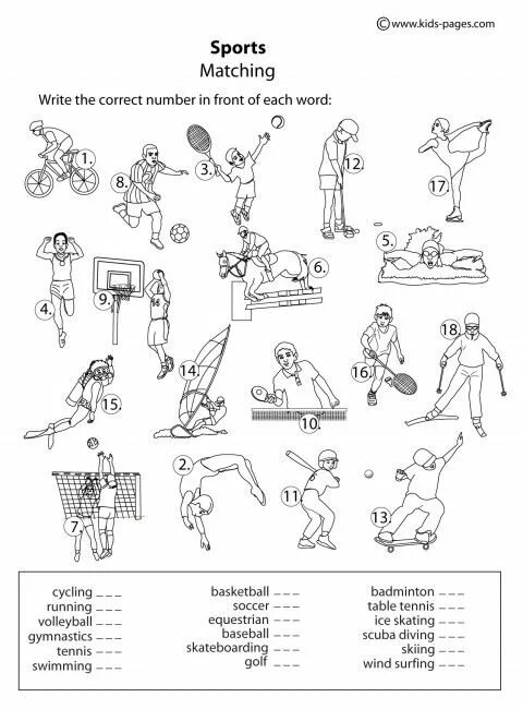 Sports exercises. Sport задания по английскому. Sport задания на англ для детей. Sports задания на английском для детей. Задания по теме спорт на английском языке.