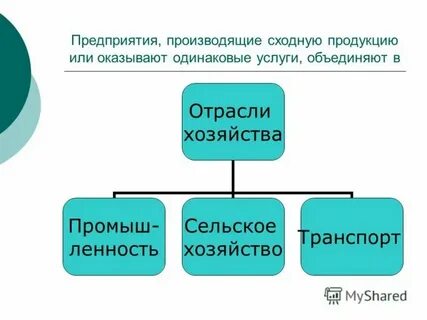 Выпускаемых предприятием а также