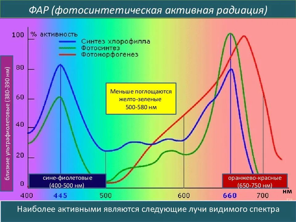 Активное излучение. Физиологически активная радиация. Фотосинтетически активная радиация фар. Способы воздействия на информацию. Спектр солнечного излучения фотосинтез.