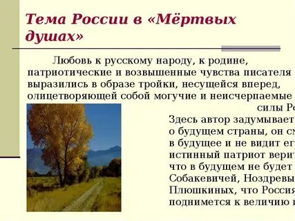 Тематика лирических отступлений в мертвых душах
