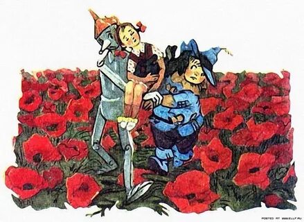 Перенес элли 6 букв