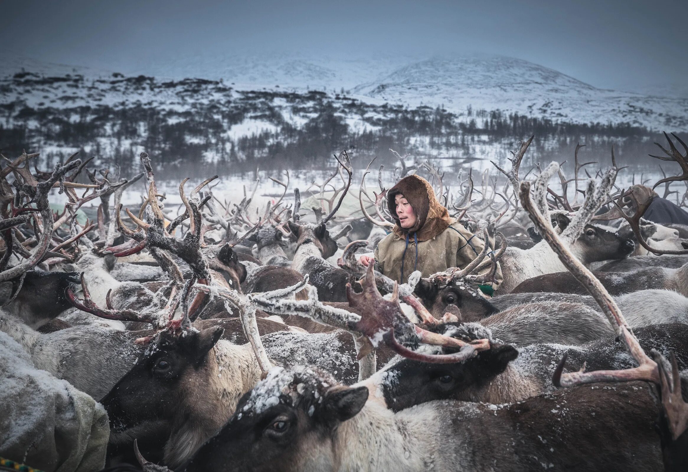 Россия в фотографиях русское географическое. Самая красивая Страна фотоконкурс. Географическое общество фотоконкурс. Русское географическое общество фотоконкурс 2022. Русское географическое общество фотоконкурс 2018.