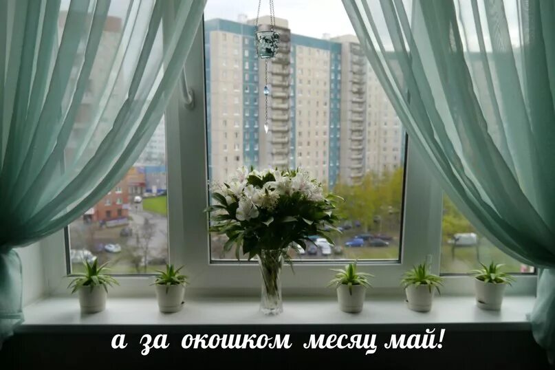 Пресняков бушует месяц май. За окошком май. май за окном. а за окном месяц май. окошки на май.