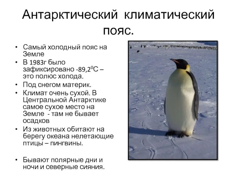 Центр антарктиды. Почему антарктический пояс самый холодный. Географические особенности антарктиды. Антарктический климатический. Почему антарктический пояс самый холодный.