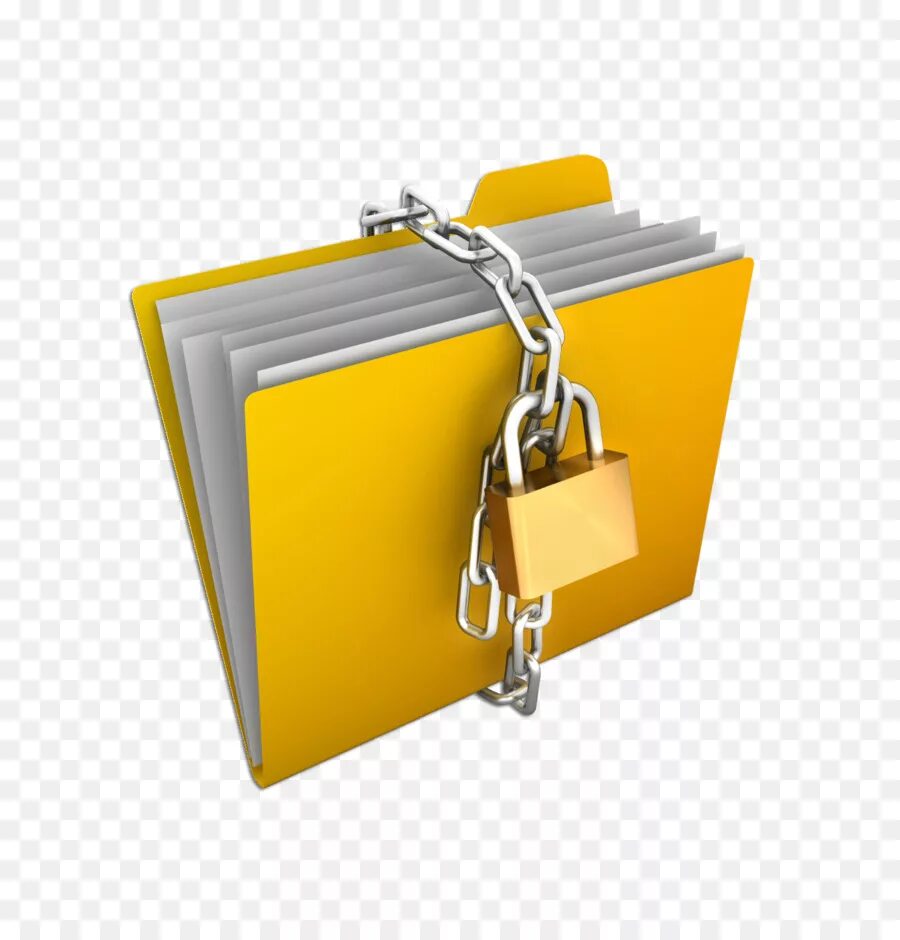 D document