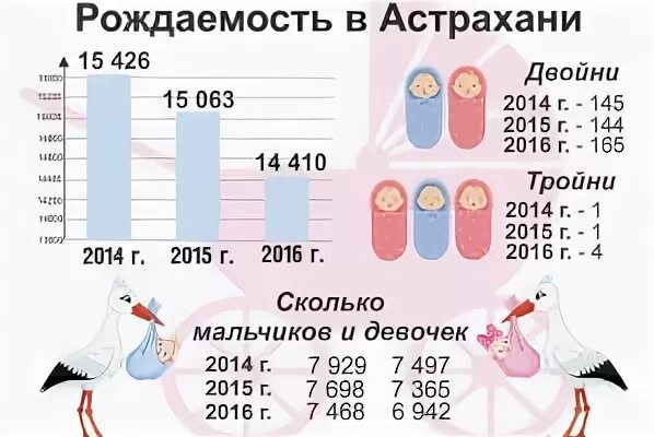 Статистика рождаемости девочек