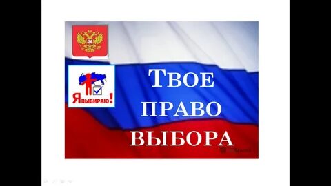 Выборы обложка