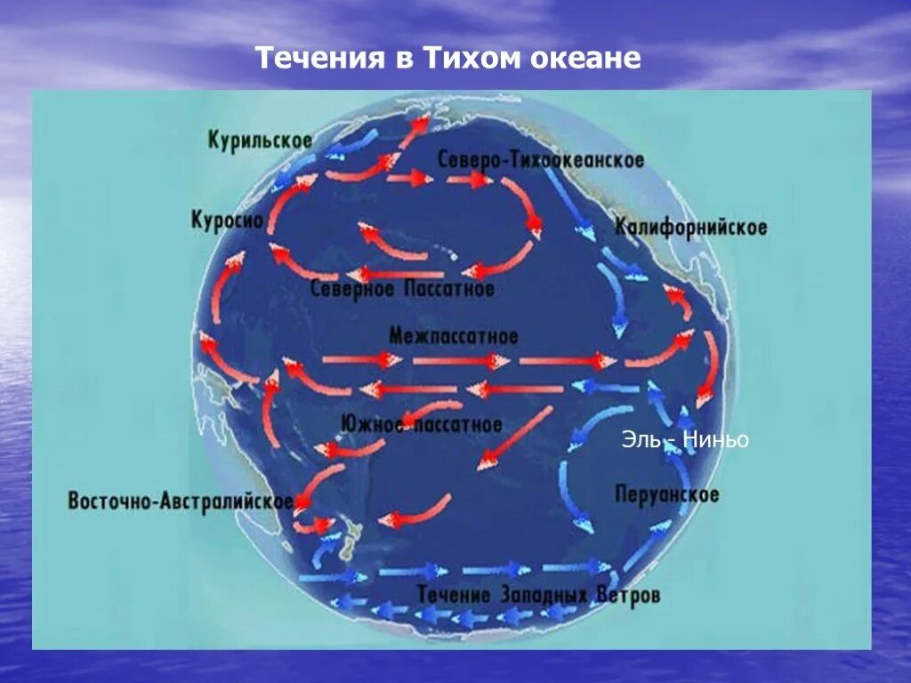 Морских течений действует в тихом океане. Карта течений Тихого океана. Основные морские течения Тихого океана. Теплые течения Тихого океана. Южное пассатное течение в тихом океане.