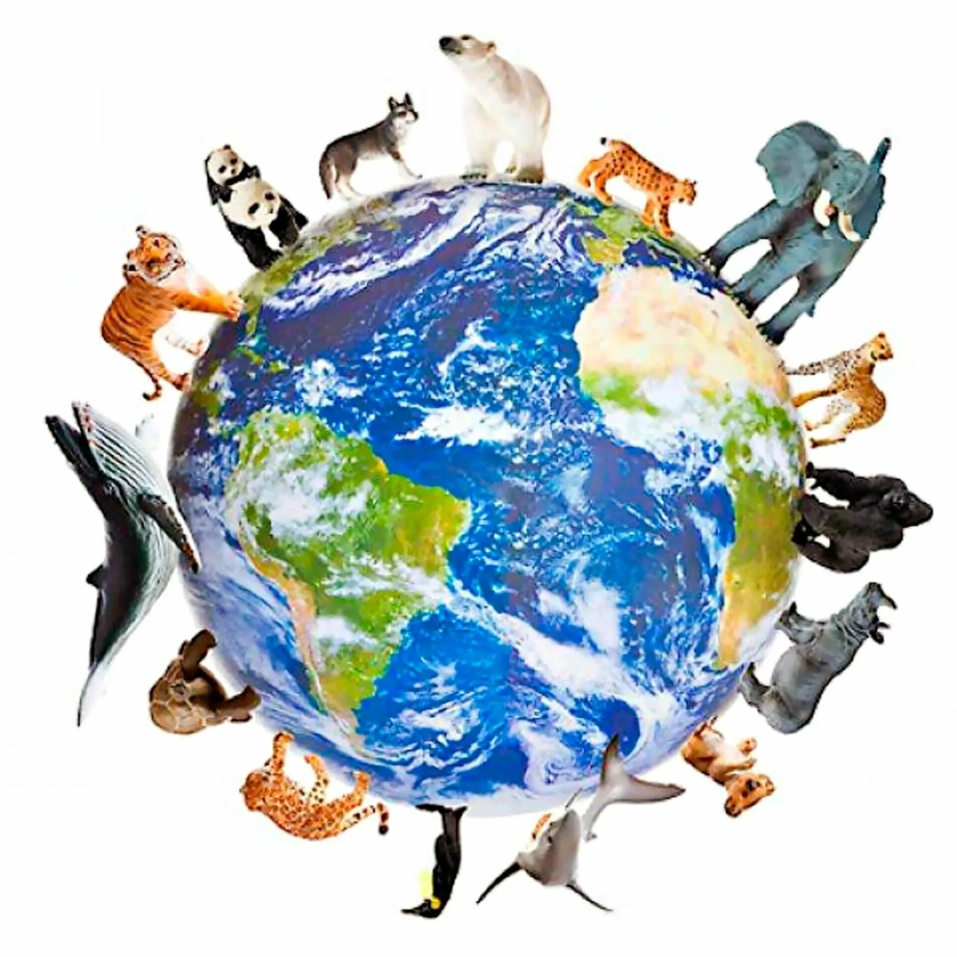 Животные на земном шаре. Животные вокруг планеты. Планета земля. Планета земля с животными.