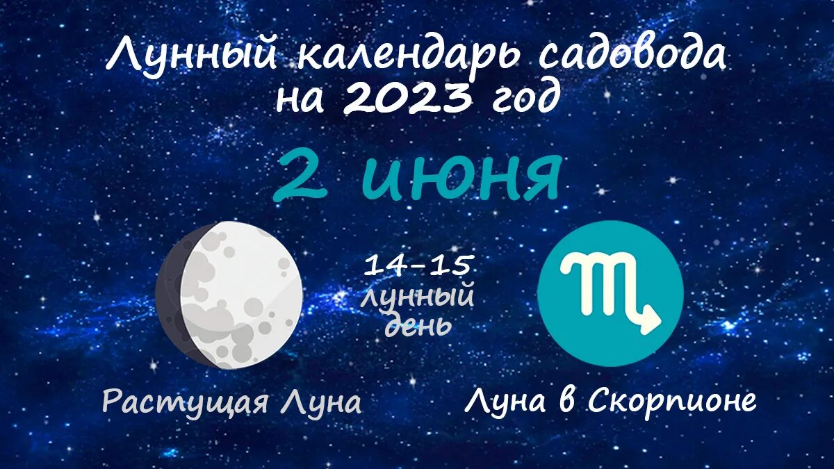 Сеять на убывающую луну. Сеять на убывающую луну