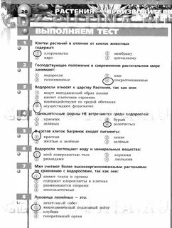 Самостоятельная работа водоросли 7 класс ответы