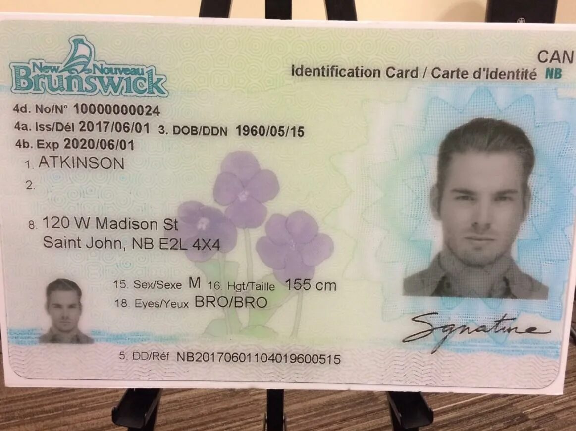 Ids license. New Brunswick New Driver License. New Zealand Driver License. Brunswick Driver License. New ID Card.