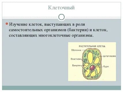 В клетки составляют