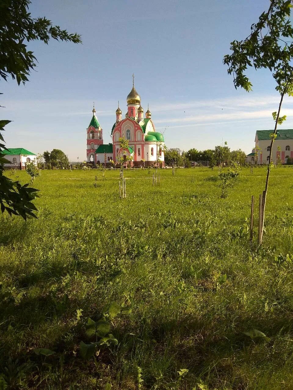 Погода на неделю в курчатове курской области. Курчатов Курская область. Пены Курская область Курчатовский. Деревня быки Курчатов Курская область.