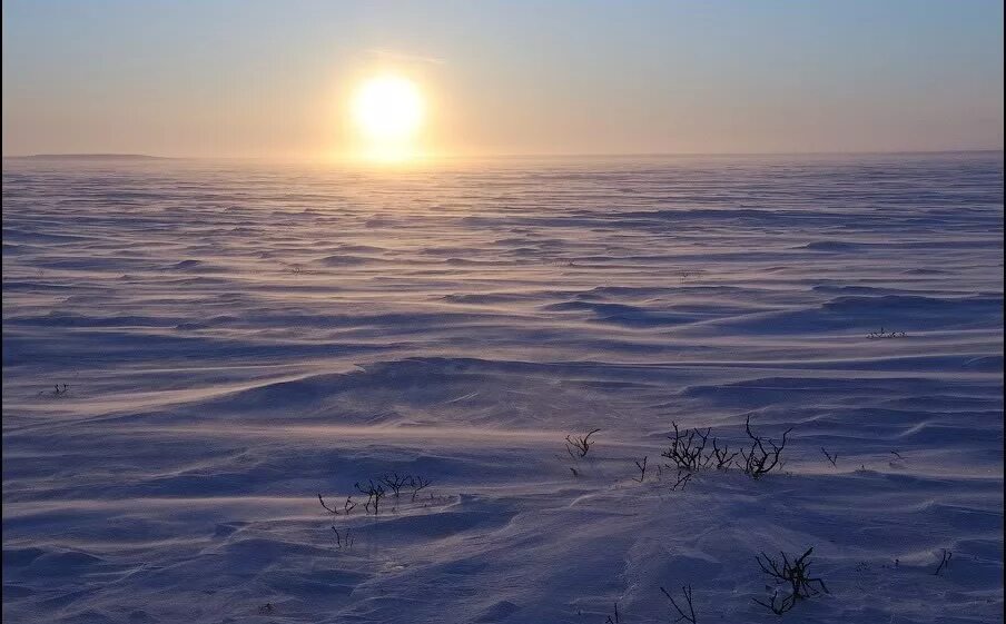 Воркута тундра зимой. Тундра полуостров Ямал. Тундра зимой Восход Воркута.
