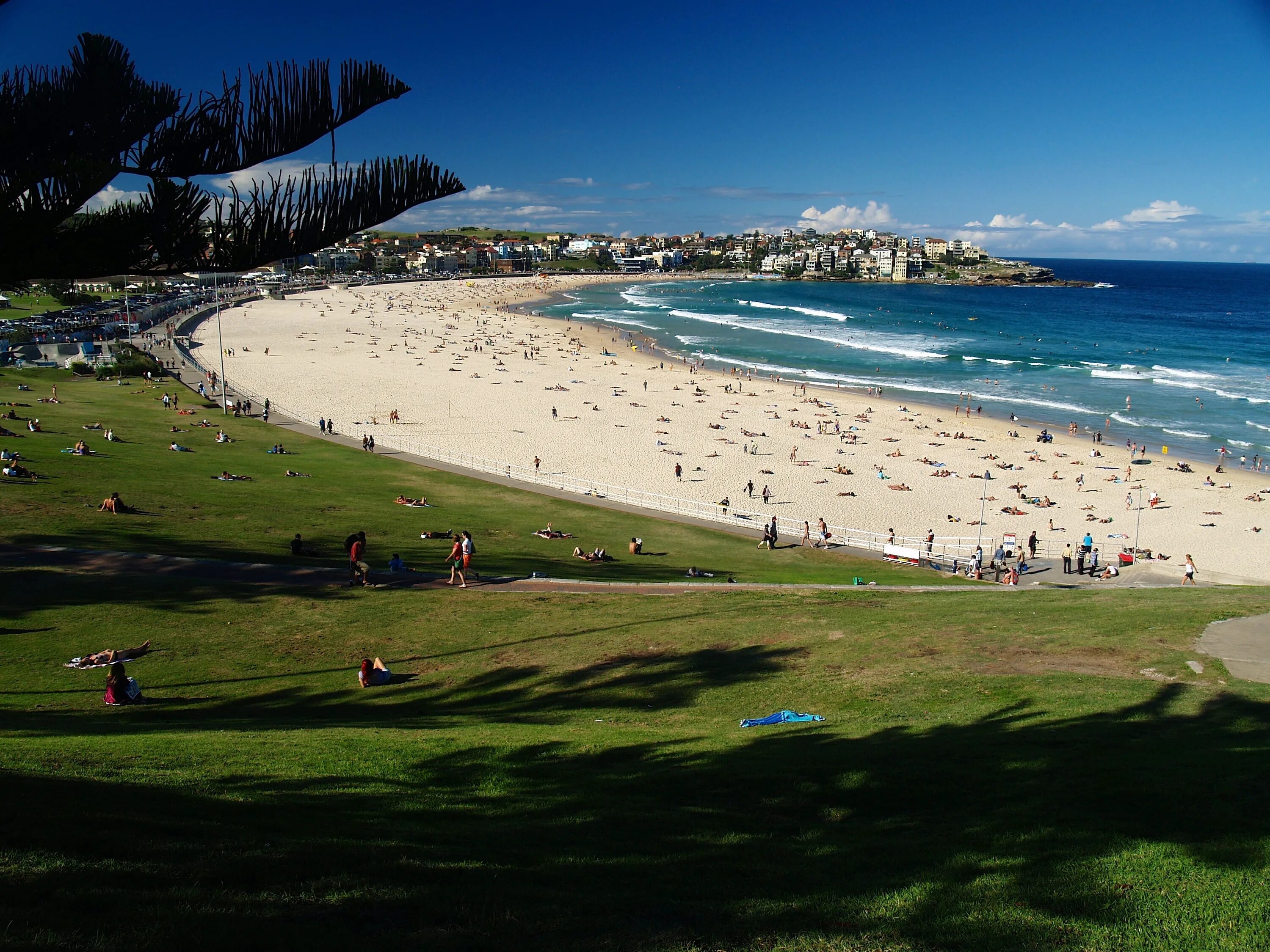 Пляж бонди бич австралия. Пляж бондай сидней. Australia beach. Бондай бич австралия. Сидней пляж бонди бич.