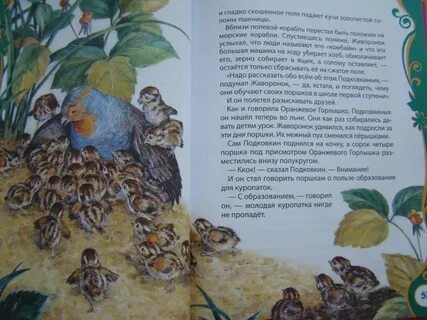 Главная мысль рассказа оранжевое горлышко