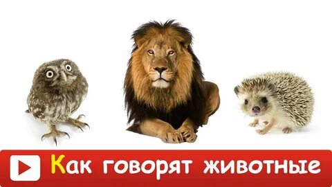 Животные малышам звуки видео