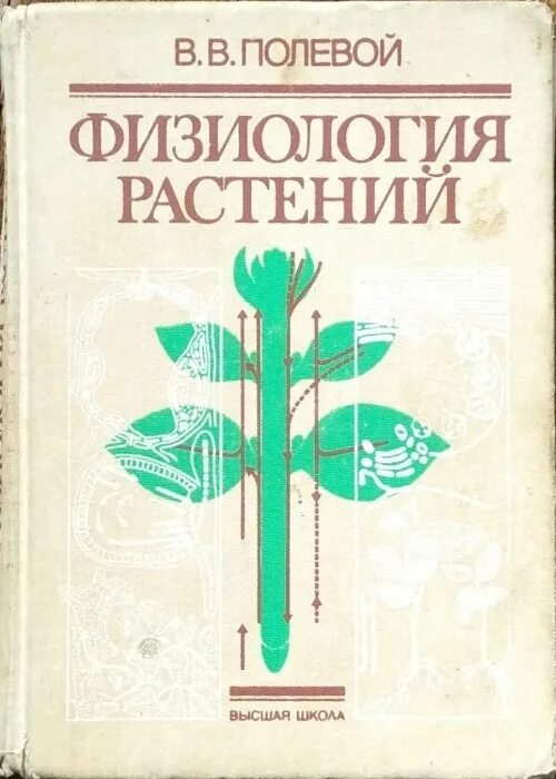 Полевой ю ю. Физиология растений. физиология растений полевой. книга по физиологии растений. что такое физиология растений в биологии.