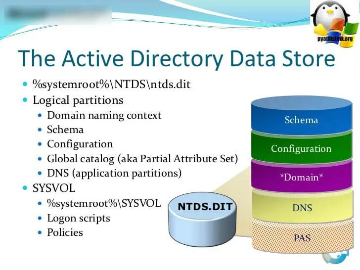 Глобальный каталог ad. NTDS это. Microsoft Innovation Center. Домен диаграмма найти. Basic activity