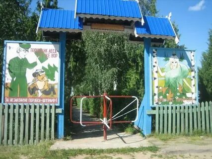 Лесничество бор