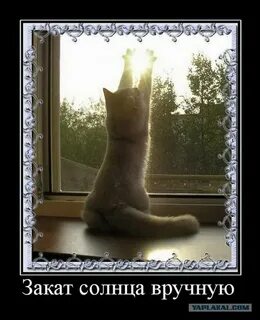 Подожди солнце