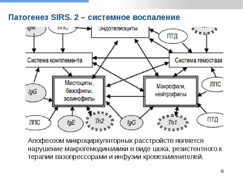 Системные реакции. Схема патогенеза системной воспалительной реакции. синдром системного воспаления патогенез. системная воспалительная реакция схема.