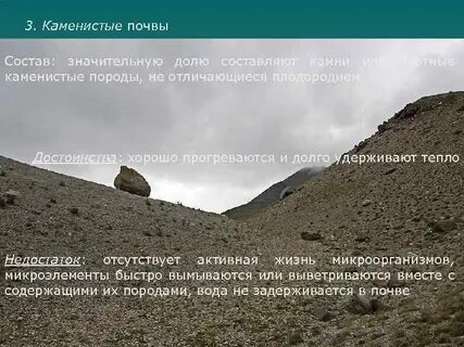 Предложения каменистый