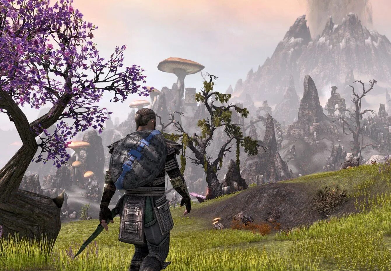 Open world mmo много денег. Open world mmo много денег