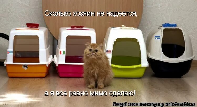 Сколько хозяев было