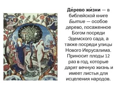 Описание дерева жизни